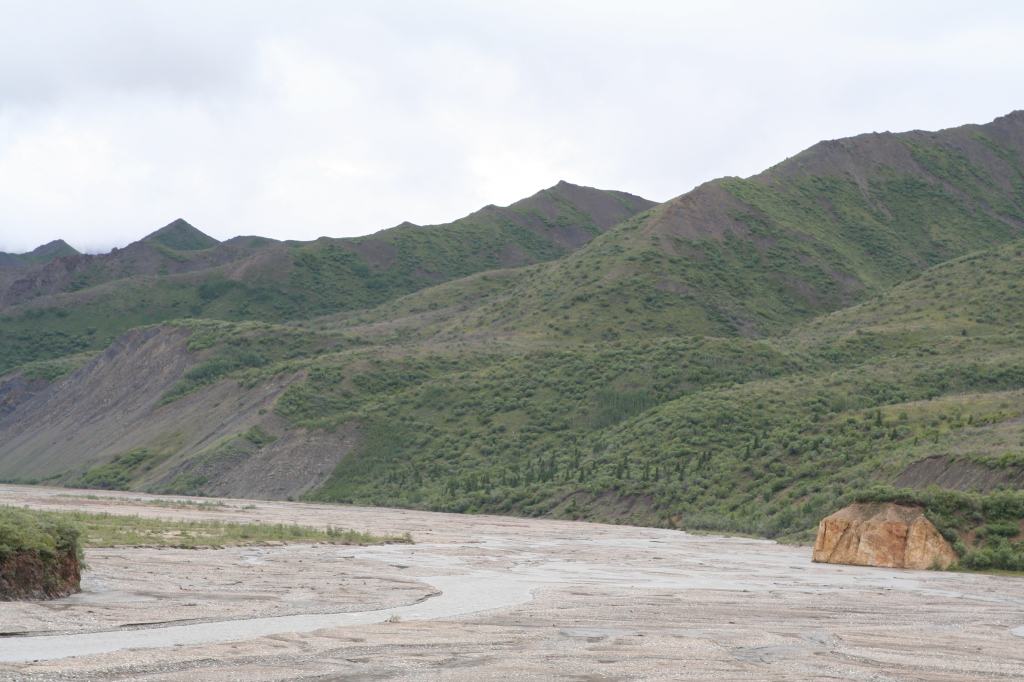 2011/07(July)/Alaska/4_Denali/1024x768_2011-07-15-Denali-066.JPG