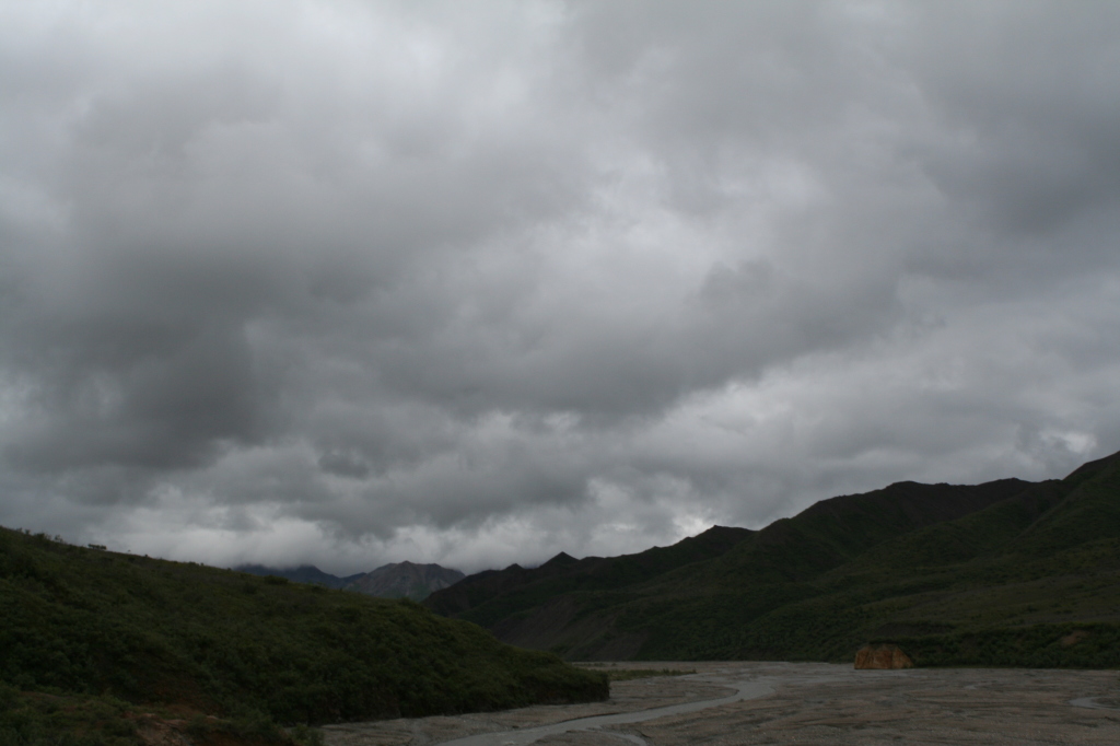 2011/07(July)/Alaska/4_Denali/1024x768_2011-07-15-Denali-068.JPG