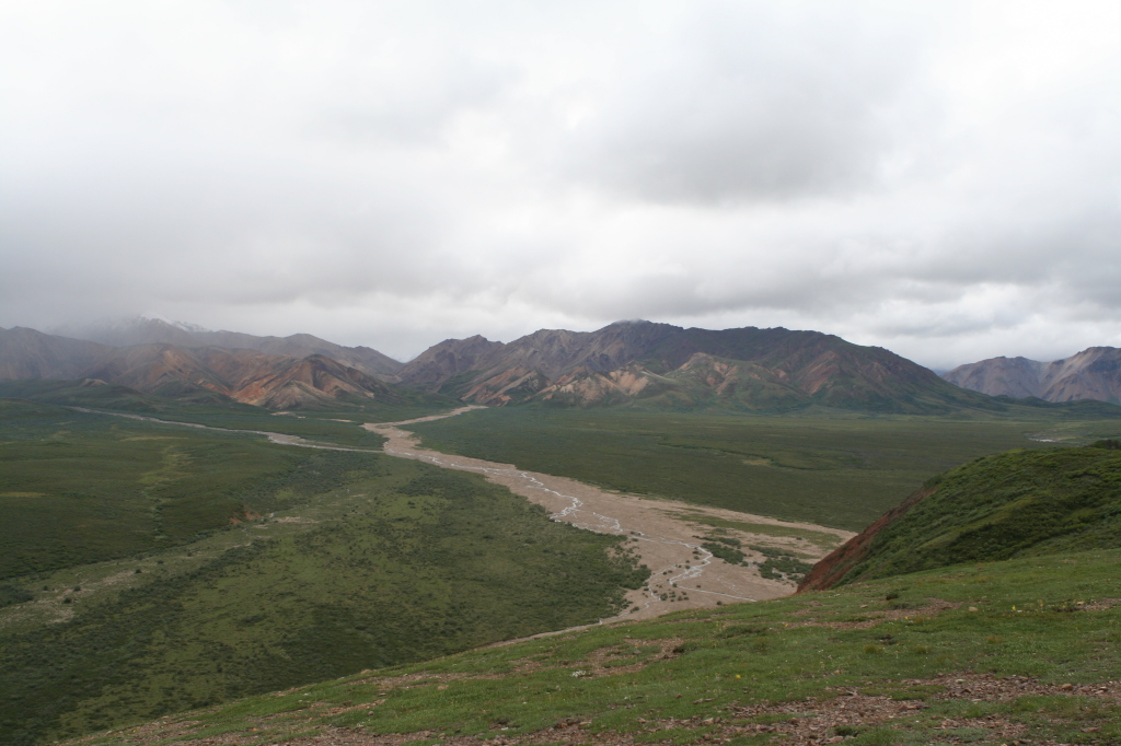 2011/07(July)/Alaska/4_Denali/1024x768_2011-07-15-Denali-081.JPG