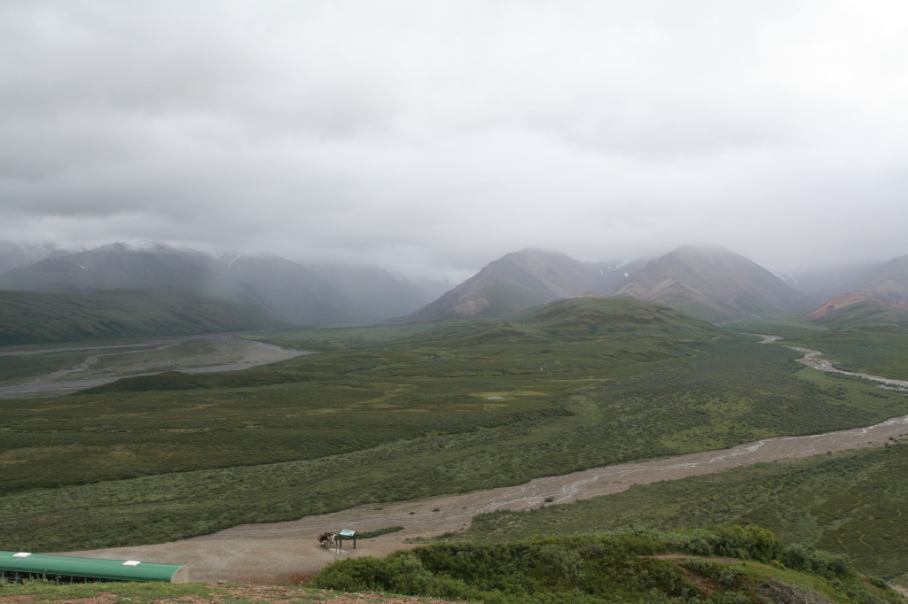 2011/07(July)/Alaska/4_Denali/1024x768_2011-07-15-Denali-083.JPG