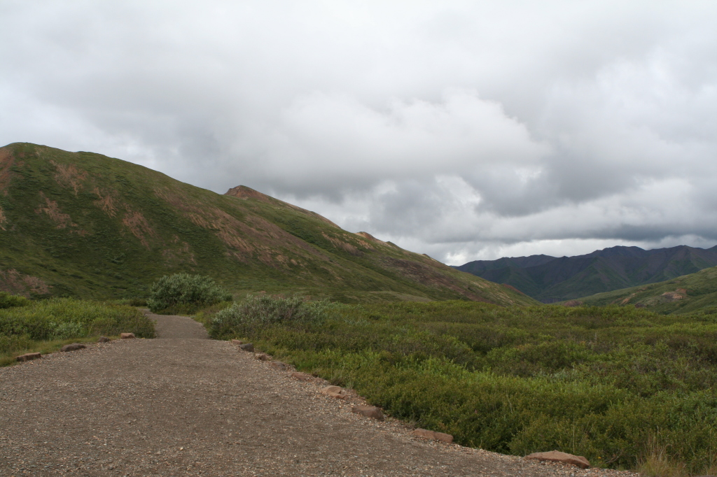 2011/07(July)/Alaska/4_Denali/1024x768_2011-07-15-Denali-086.JPG