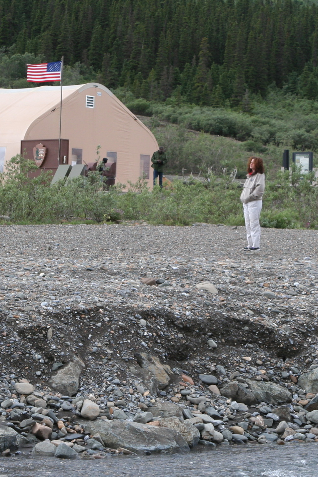 2011/07(July)/Alaska/4_Denali/1024x768_2011-07-15-Denali-106-Suzi.JPG