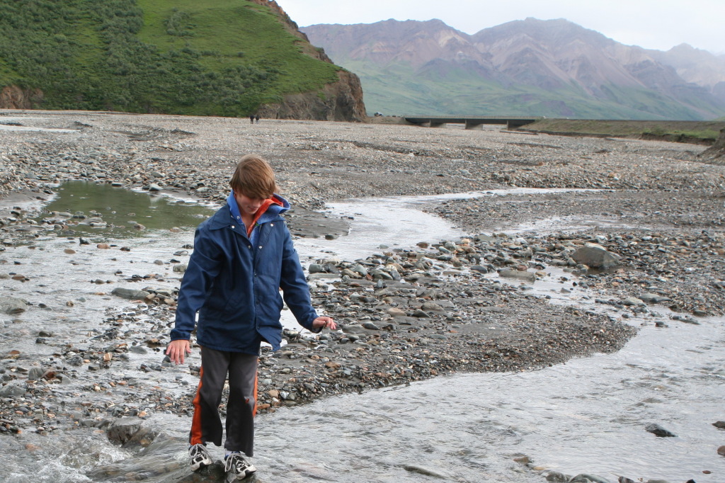 2011/07(July)/Alaska/4_Denali/1024x768_2011-07-15-Denali-120-Chance.JPG