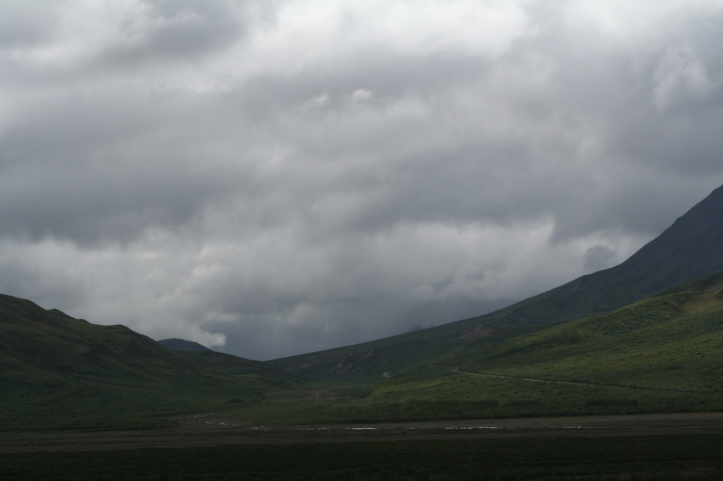2011/07(July)/Alaska/4_Denali/1024x768_2011-07-15-Denali-122.JPG