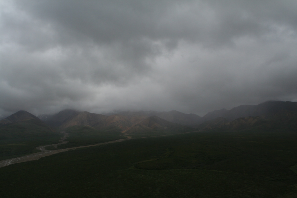 2011/07(July)/Alaska/4_Denali/1024x768_2011-07-15-Denali-126.JPG