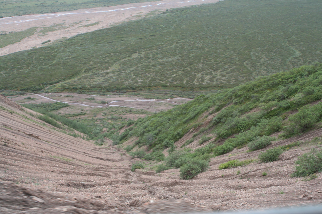 2011/07(July)/Alaska/4_Denali/1024x768_2011-07-15-Denali-129.JPG