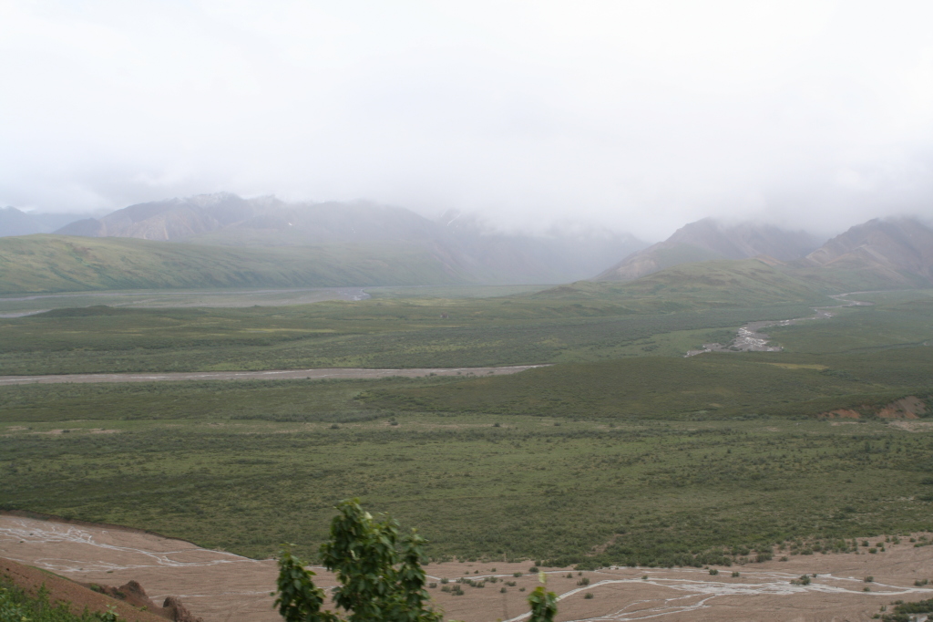 2011/07(July)/Alaska/4_Denali/1024x768_2011-07-15-Denali-132.JPG