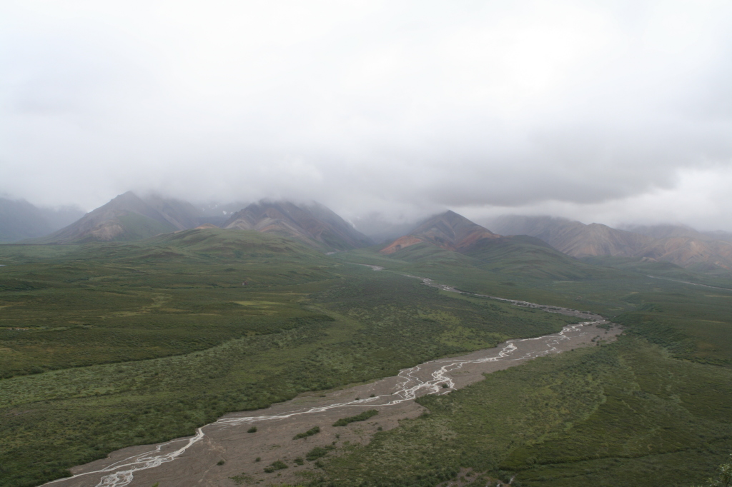 2011/07(July)/Alaska/4_Denali/1024x768_2011-07-15-Denali-138.JPG