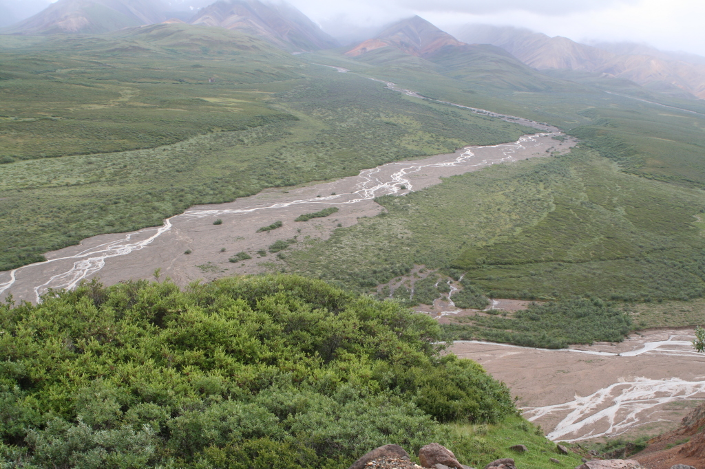2011/07(July)/Alaska/4_Denali/1024x768_2011-07-15-Denali-140.JPG