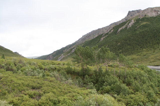 2011/07(July)/Alaska/4_Denali/640x480_2011-07-15-Denali-034.JPG