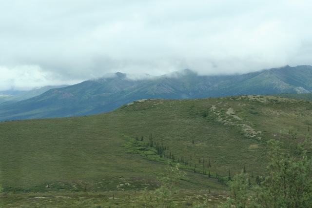 2011/07(July)/Alaska/4_Denali/640x480_2011-07-15-Denali-039.JPG