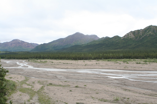 2011/07(July)/Alaska/4_Denali/640x480_2011-07-15-Denali-046.JPG