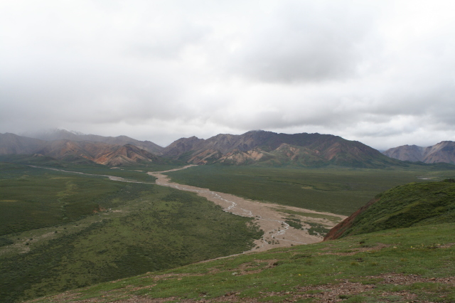 2011/07(July)/Alaska/4_Denali/640x480_2011-07-15-Denali-081.JPG