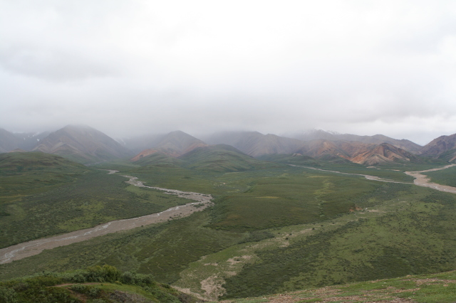 2011/07(July)/Alaska/4_Denali/640x480_2011-07-15-Denali-082.JPG