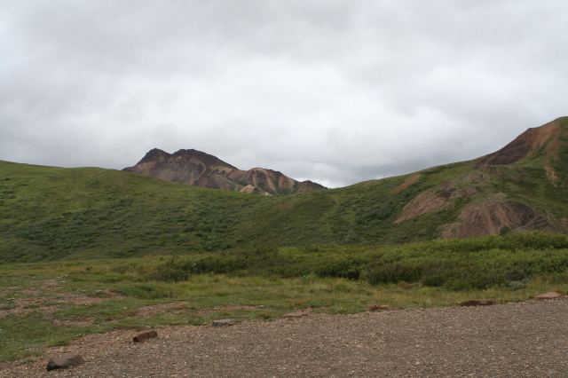 2011/07(July)/Alaska/4_Denali/640x480_2011-07-15-Denali-087.JPG