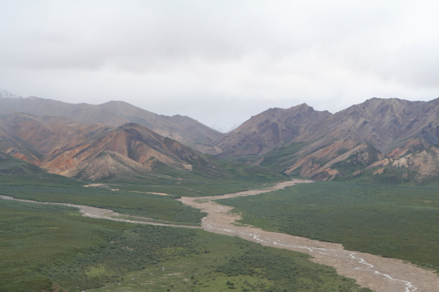 2011/07(July)/Alaska/4_Denali/640x480_2011-07-15-Denali-088.JPG