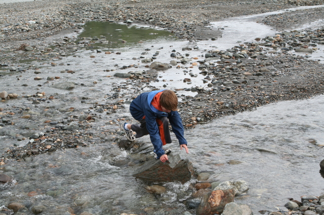 2011/07(July)/Alaska/4_Denali/640x480_2011-07-15-Denali-114-Chance.JPG