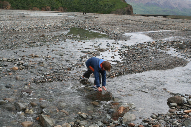 2011/07(July)/Alaska/4_Denali/640x480_2011-07-15-Denali-117-Chance.JPG