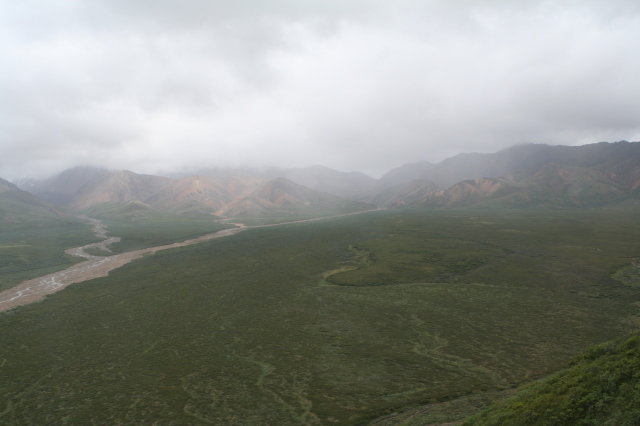 2011/07(July)/Alaska/4_Denali/640x480_2011-07-15-Denali-130.JPG