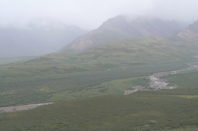 2011/07(July)/Alaska/4_Denali/640x480_2011-07-15-Denali-133.JPG
