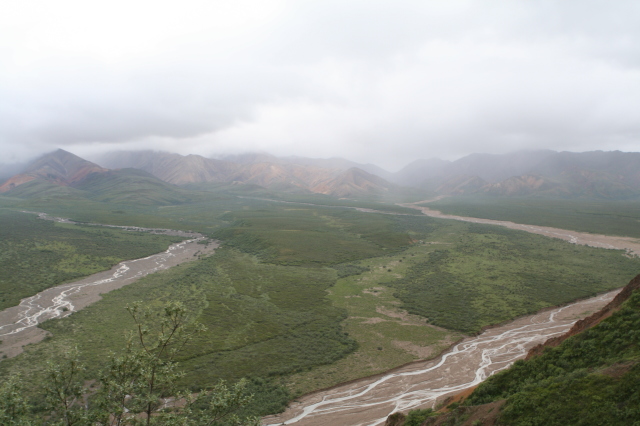 2011-07-15-Denali-136.JPG
