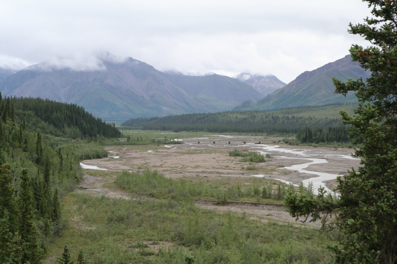 2011/07(July)/Alaska/4_Denali/800x600_2011-07-15-Denali-047.JPG