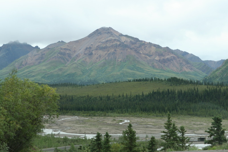 2011/07(July)/Alaska/4_Denali/800x600_2011-07-15-Denali-052.JPG