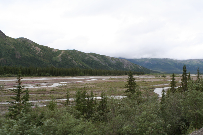 2011/07(July)/Alaska/4_Denali/800x600_2011-07-15-Denali-053.JPG