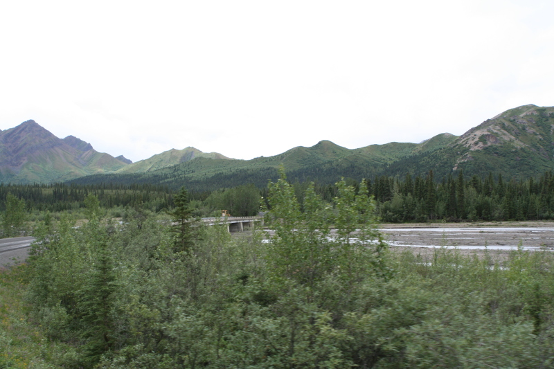 2011/07(July)/Alaska/4_Denali/800x600_2011-07-15-Denali-054.JPG