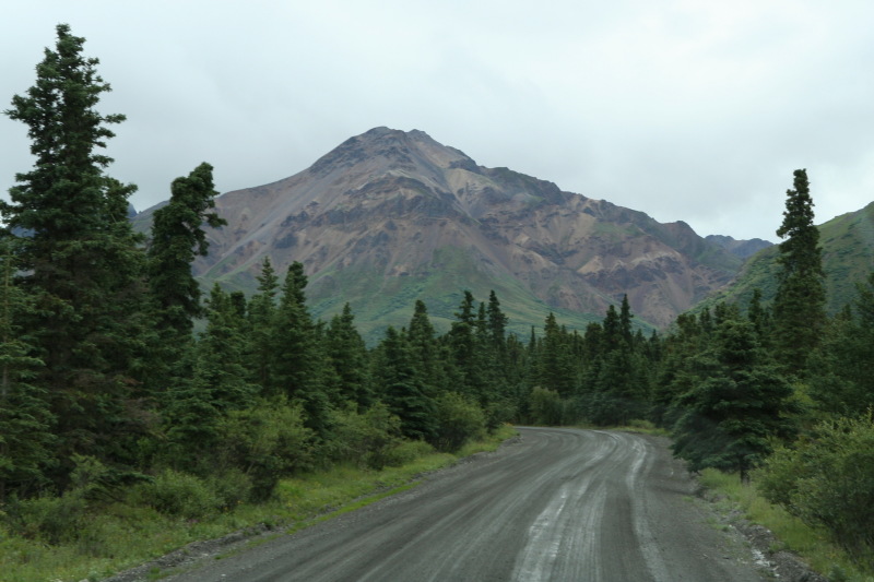 2011/07(July)/Alaska/4_Denali/800x600_2011-07-15-Denali-058.JPG