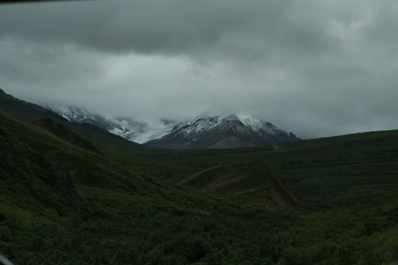 2011/07(July)/Alaska/4_Denali/800x600_2011-07-15-Denali-060.JPG