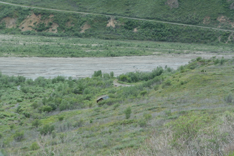 2011/07(July)/Alaska/4_Denali/800x600_2011-07-15-Denali-065.JPG