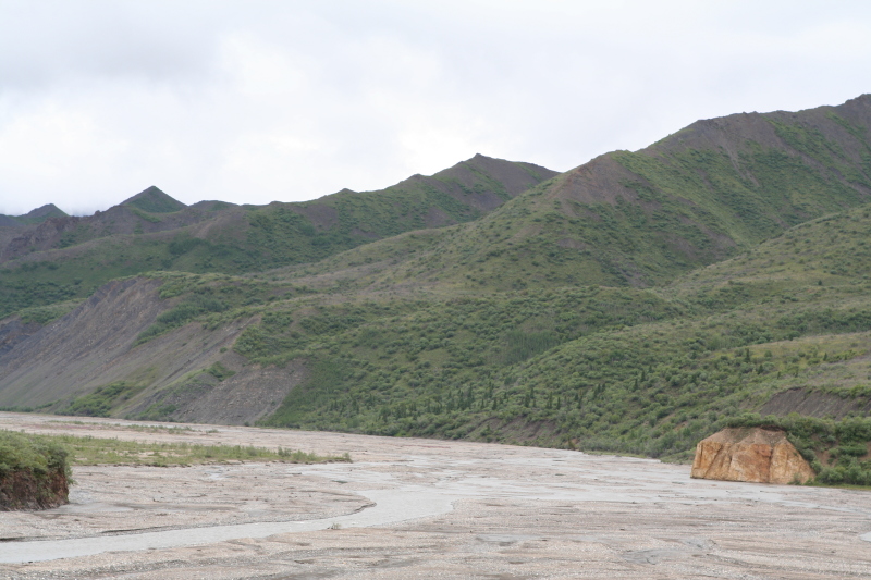 2011/07(July)/Alaska/4_Denali/800x600_2011-07-15-Denali-066.JPG