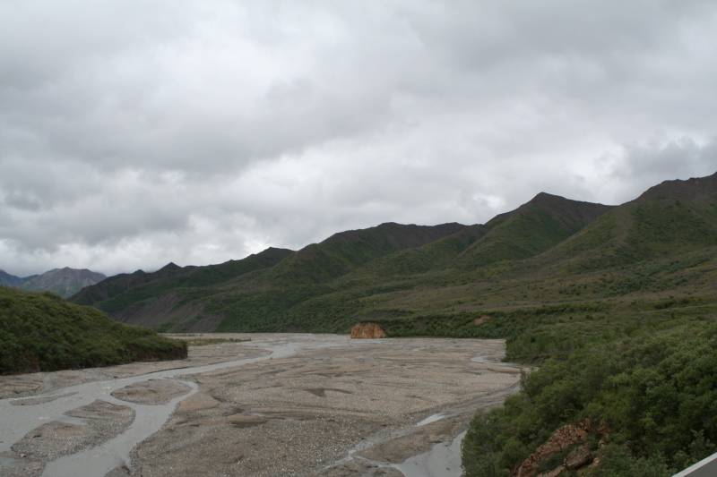 2011/07(July)/Alaska/4_Denali/800x600_2011-07-15-Denali-067.JPG