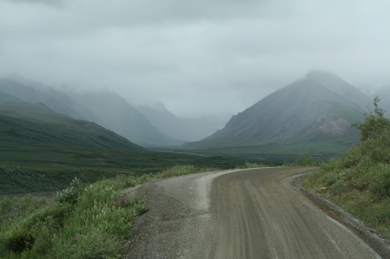 2011/07(July)/Alaska/4_Denali/800x600_2011-07-15-Denali-069.JPG