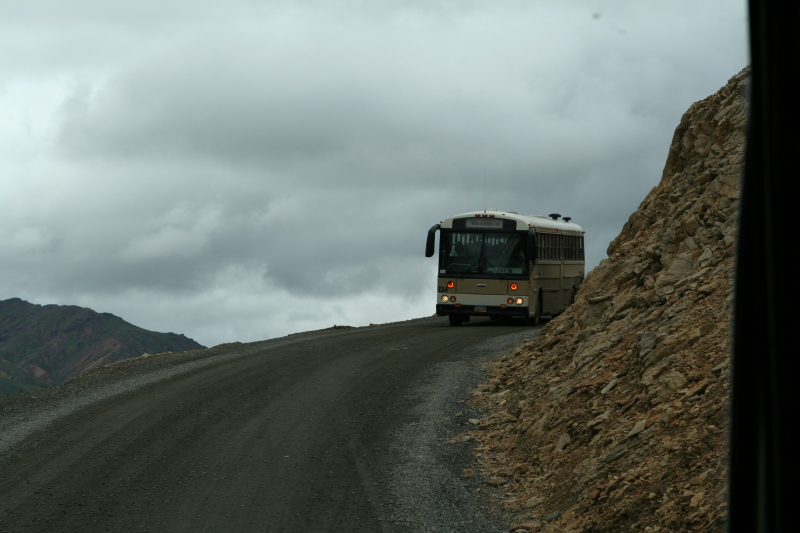 2011/07(July)/Alaska/4_Denali/800x600_2011-07-15-Denali-070.JPG