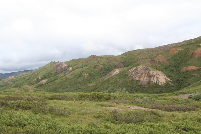 2011/07(July)/Alaska/4_Denali/800x600_2011-07-15-Denali-085.JPG