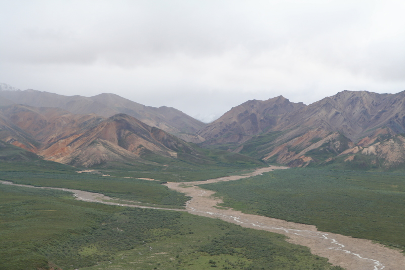2011/07(July)/Alaska/4_Denali/800x600_2011-07-15-Denali-088.JPG