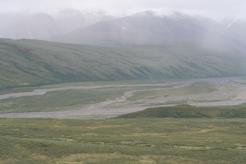 2011/07(July)/Alaska/4_Denali/800x600_2011-07-15-Denali-090.JPG