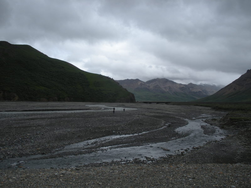 2011/07(July)/Alaska/4_Denali/800x600_2011-07-15-Denali-099.JPG