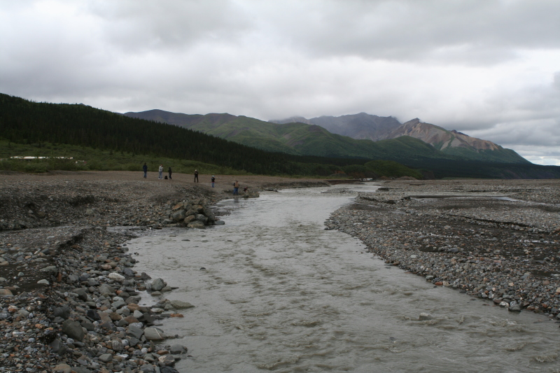 2011/07(July)/Alaska/4_Denali/800x600_2011-07-15-Denali-107.JPG