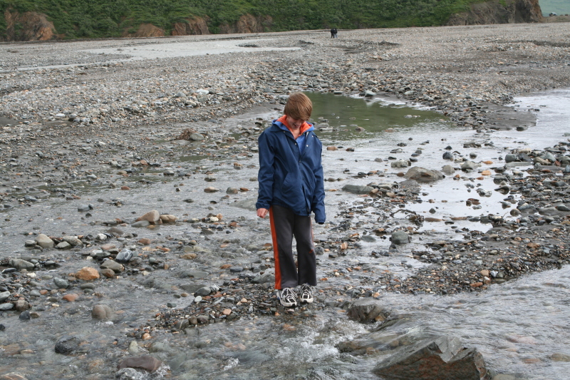 2011/07(July)/Alaska/4_Denali/800x600_2011-07-15-Denali-116-Chance.JPG