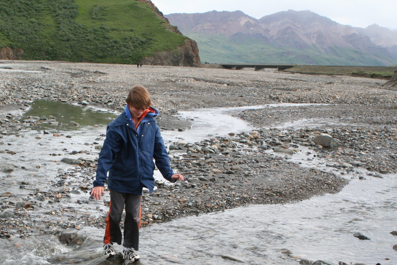 2011/07(July)/Alaska/4_Denali/800x600_2011-07-15-Denali-120-Chance.JPG