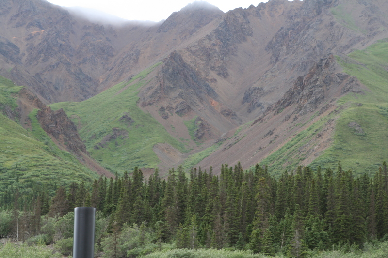 2011/07(July)/Alaska/4_Denali/800x600_2011-07-15-Denali-121.JPG
