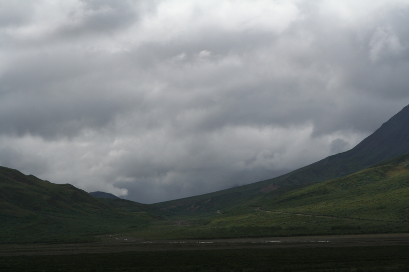 2011/07(July)/Alaska/4_Denali/800x600_2011-07-15-Denali-122.JPG