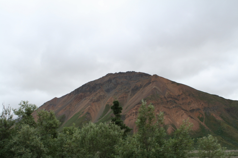 2011/07(July)/Alaska/4_Denali/800x600_2011-07-15-Denali-123.JPG