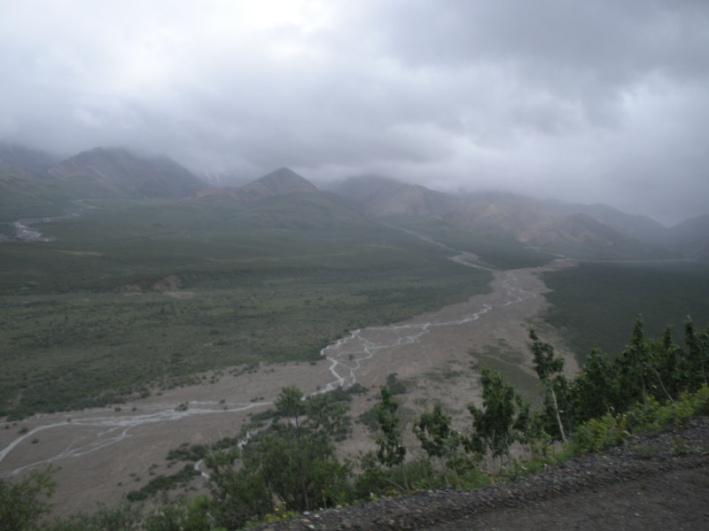 2011/07(July)/Alaska/4_Denali/800x600_2011-07-15-Denali-125.JPG