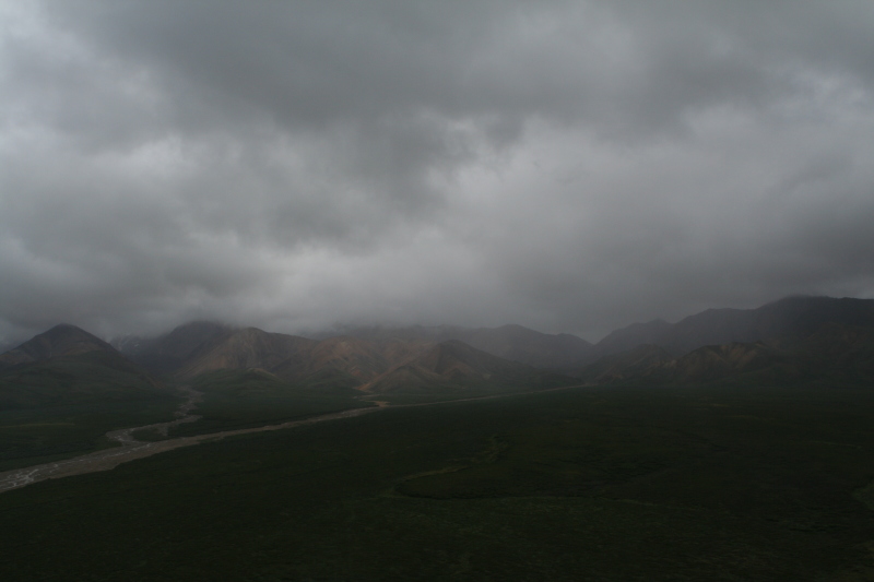 2011/07(July)/Alaska/4_Denali/800x600_2011-07-15-Denali-126.JPG