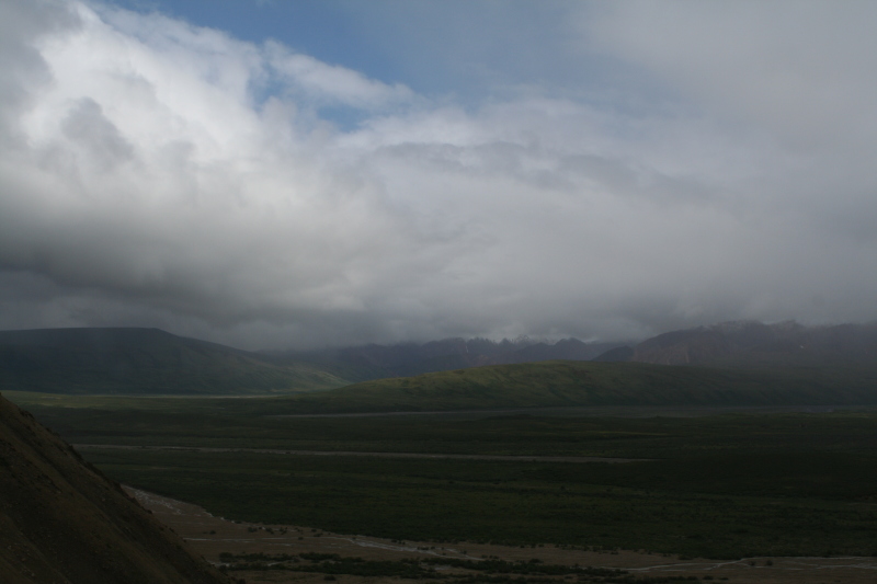 2011/07(July)/Alaska/4_Denali/800x600_2011-07-15-Denali-127.JPG
