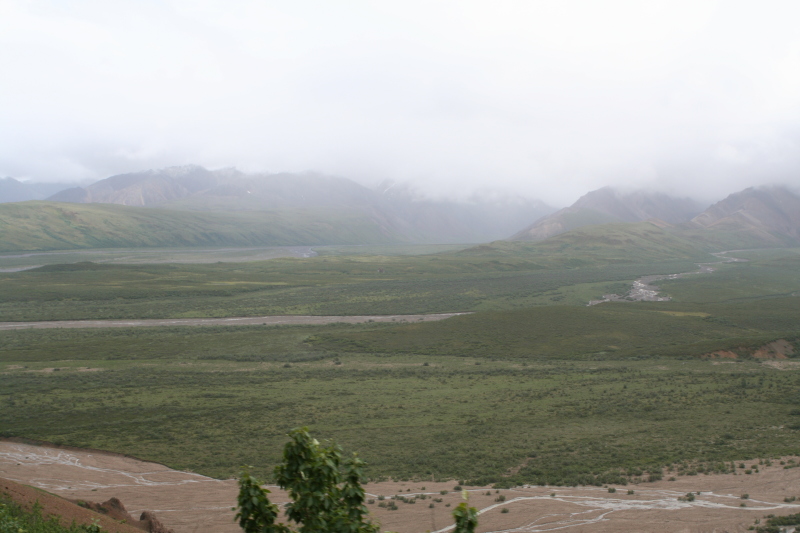 2011/07(July)/Alaska/4_Denali/800x600_2011-07-15-Denali-132.JPG